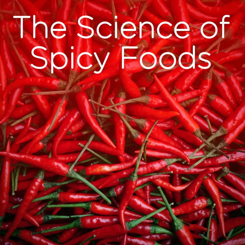 The Science of Spicy Foods Ovolo Hotels