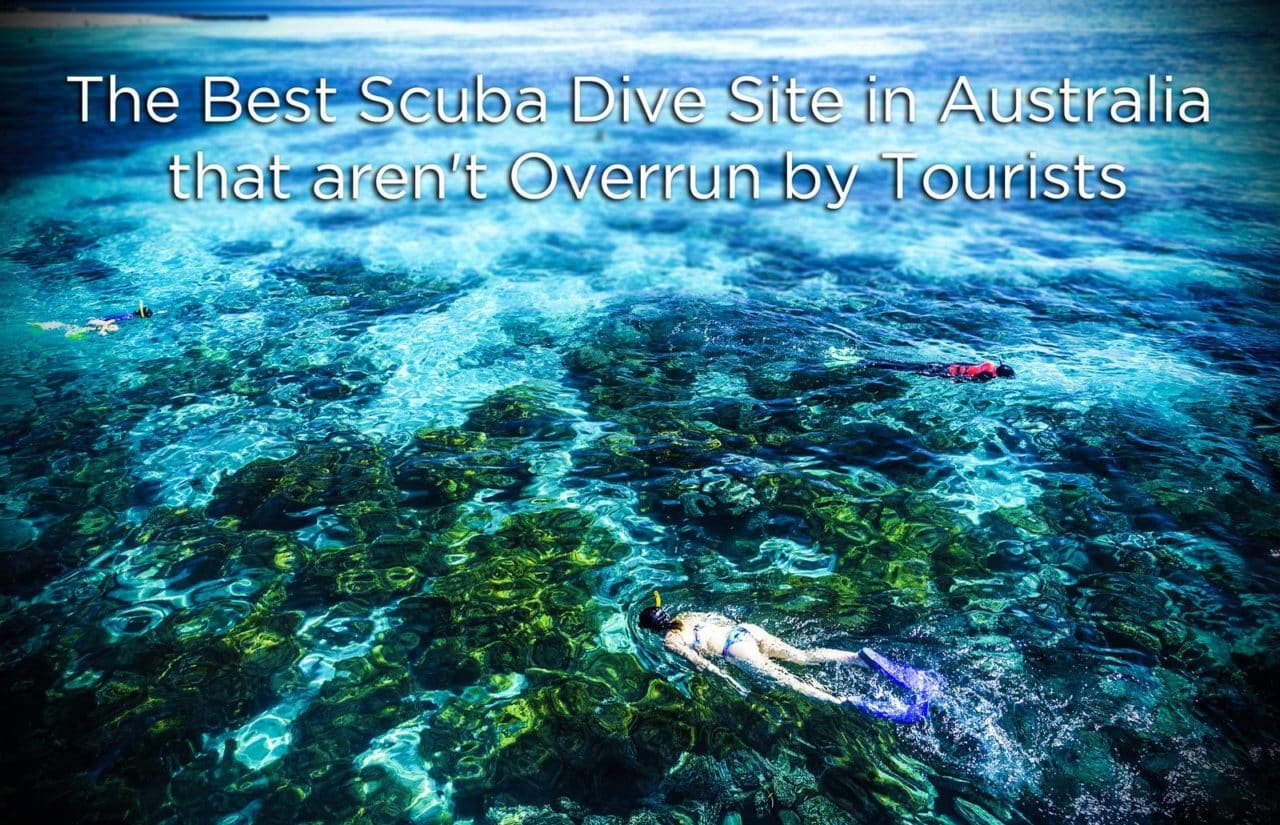 The Best Scuba Dive Site in Australia | Ovolo Hotels