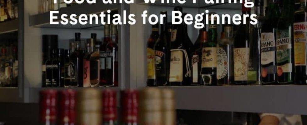 Food and Wine Pairing Essentials for Beginners