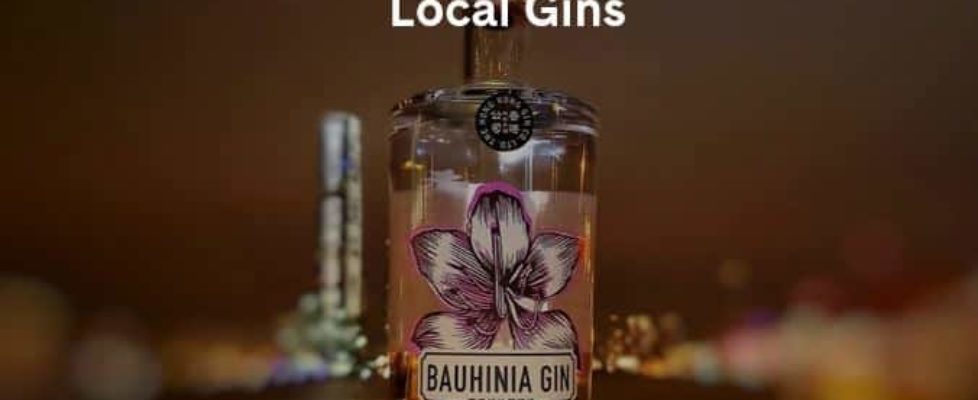 Our Favourite Local Gins
