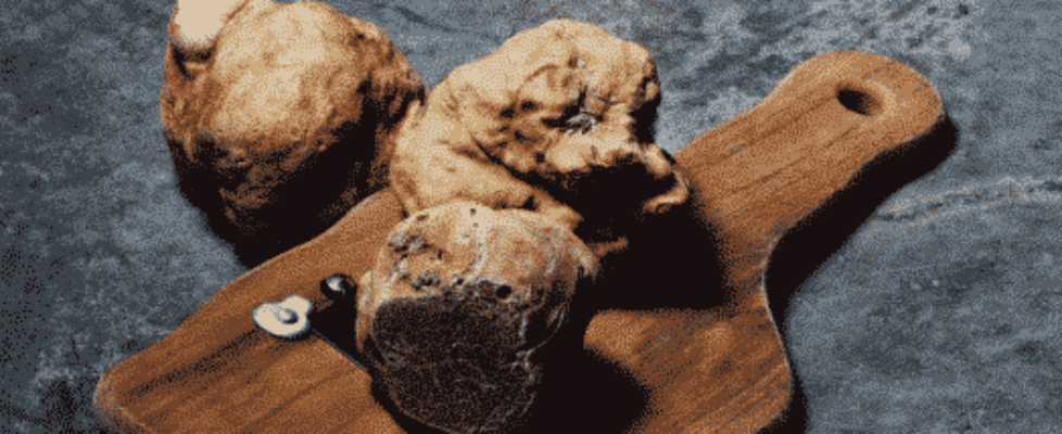 truffle season image