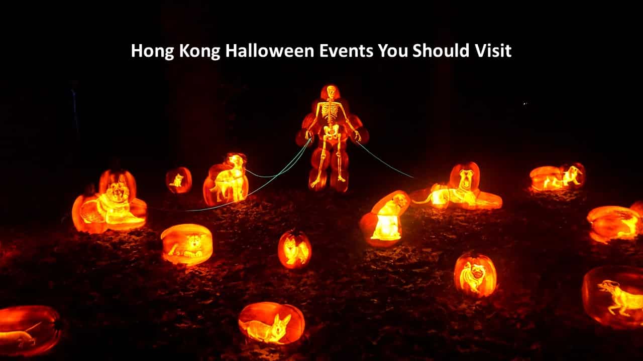 Hong Kong Halloween Events You Should Visit Ovolo Hotels