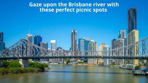 brisbane picnics near the river