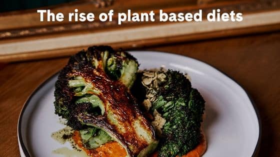 rise of plant based diets