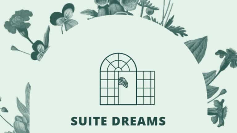suit dreams