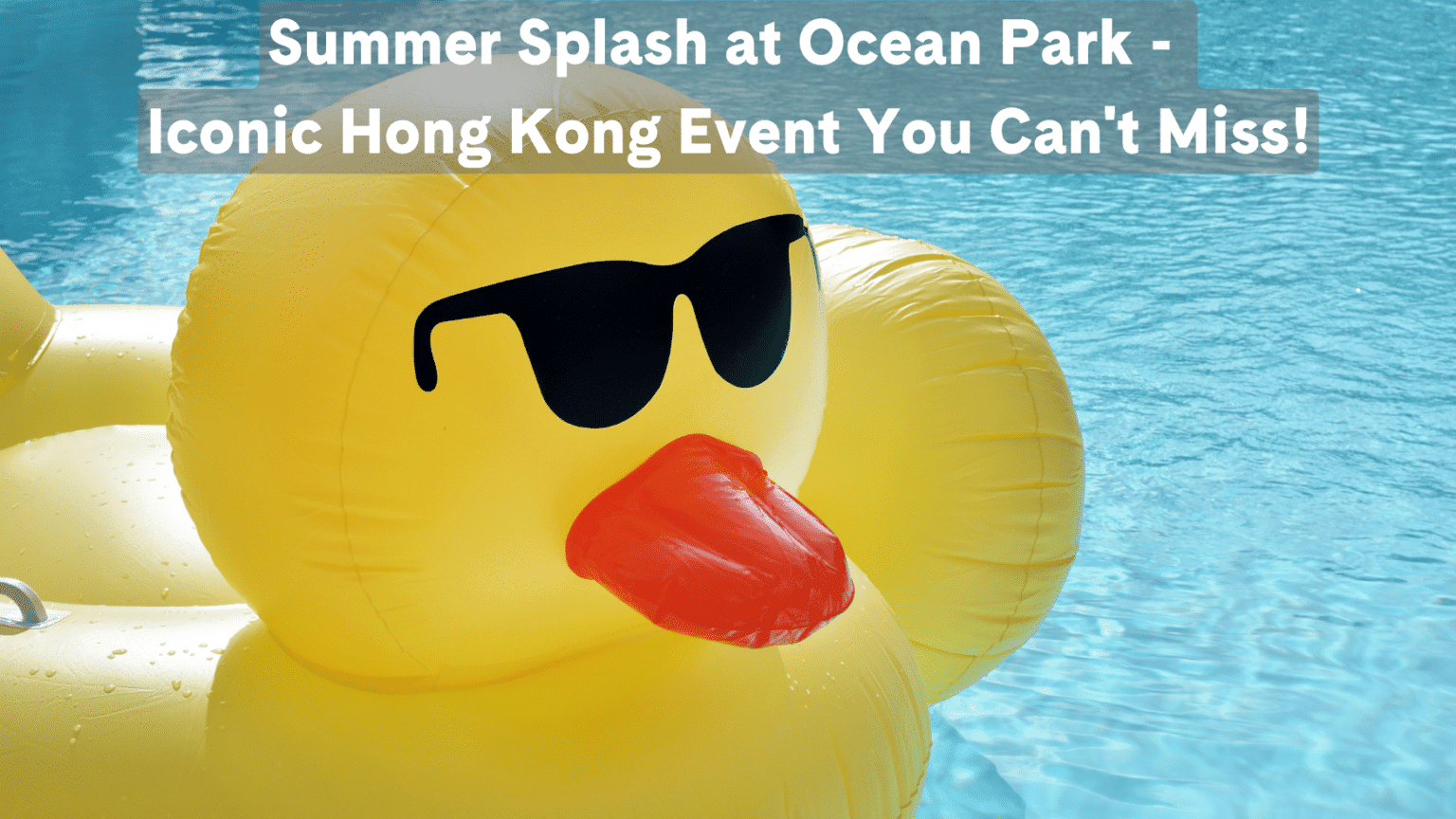 How To Do Ocean Park Right: Best Rides, Eats & Treats | Blog