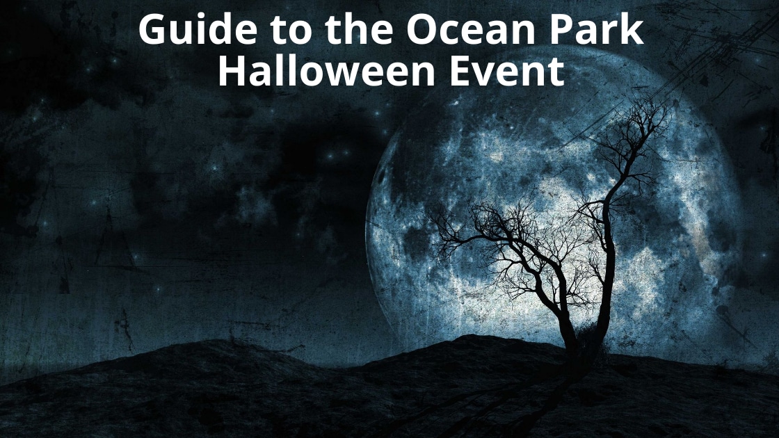 Ocean Park Halloween blog