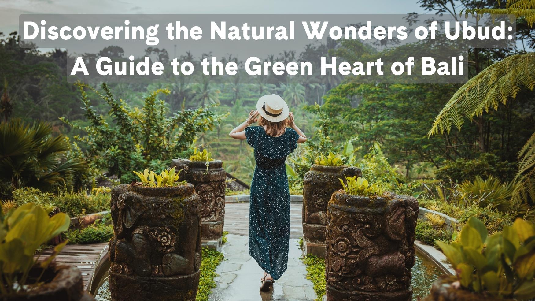 Discovering the Natural Wonders of Ubud