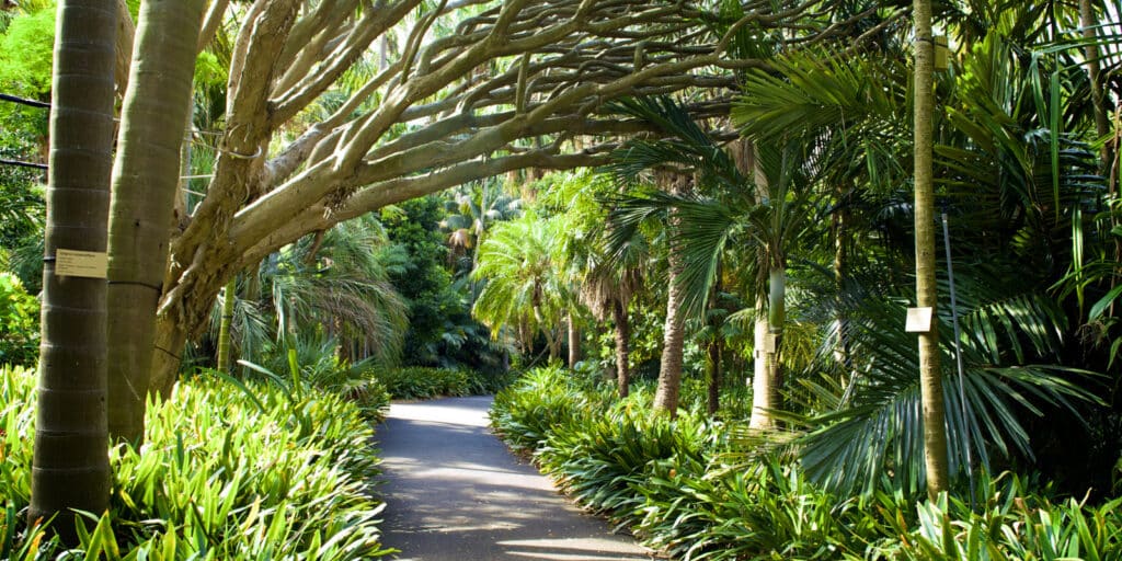 Royal Botanic Garden Sydney